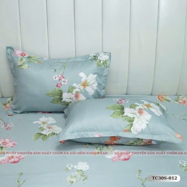 Drap mẫu 2