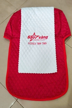 Áo ghế xe du lịch