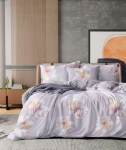 Drap mẫu 2