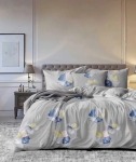 Drap mẫu 2