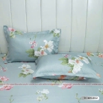 Drap mẫu 2